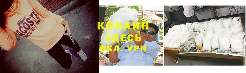 Cocaine Эквадор  как найти закладки  даркнет Telegram  Электрогорск 