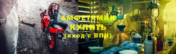 крисы Богородицк